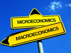 What is the difference between Macroeconomics and Microeconomics in Forex?